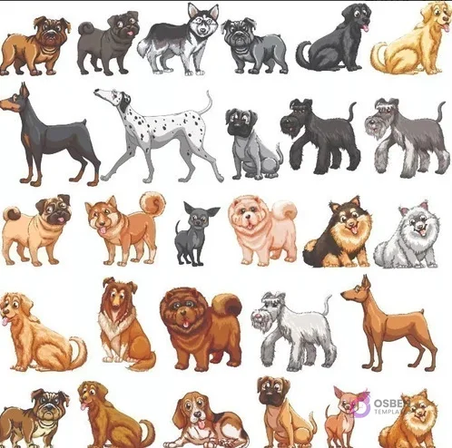 Colección de ilustraciones vectoriales de múltiples razas de perros: Dóberman, Dálmata, Husky, Schnauzer, Golden Retriever, Pug, Chihuahua, Labrador y más, en diferentes poses