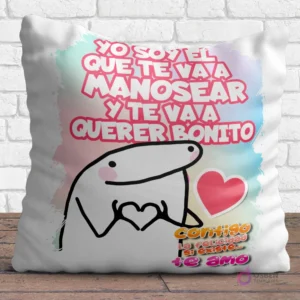 Almohadón Flork con frase romántica y humorística 'Te voy a querer bonito'